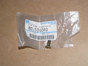 Block Inspection Plate Screw - 801506040