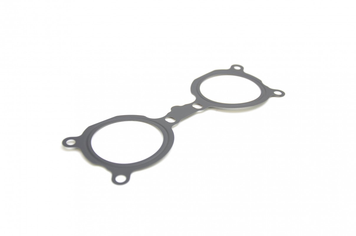 Manifold to TGV Gasket