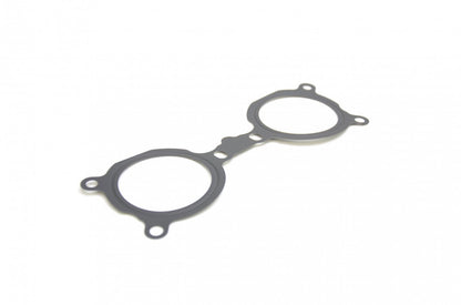 Manifold to TGV Gasket