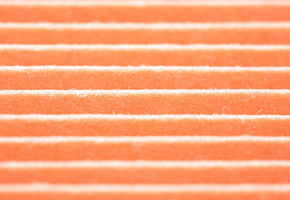 Genuine Subaru Panel Air Filter