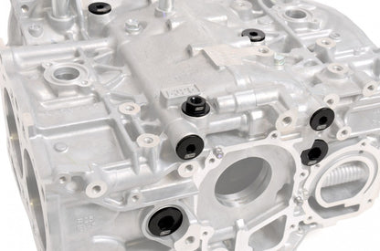 RCM Block Case Blanking Kit - Seal Kit