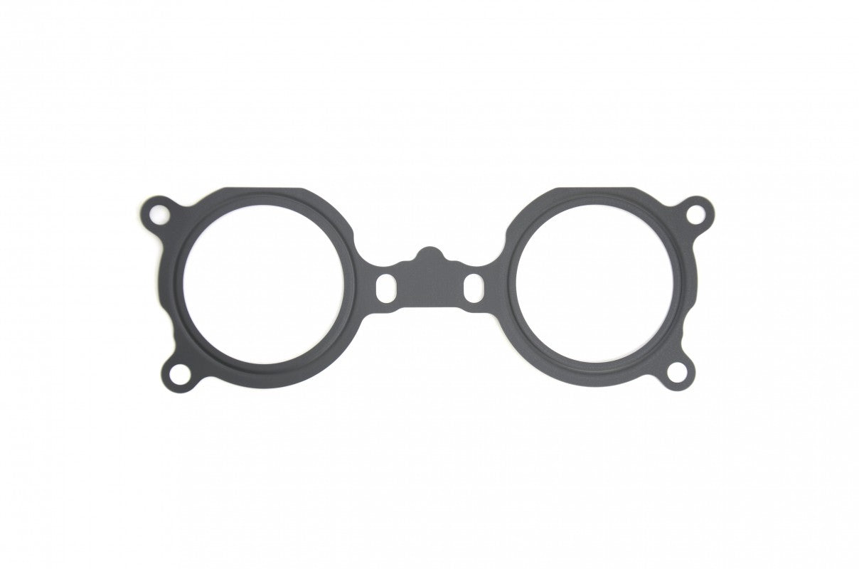 Manifold to TGV Gasket