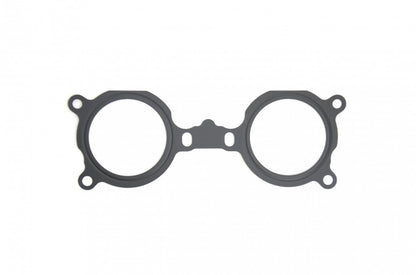 Manifold to TGV Gasket